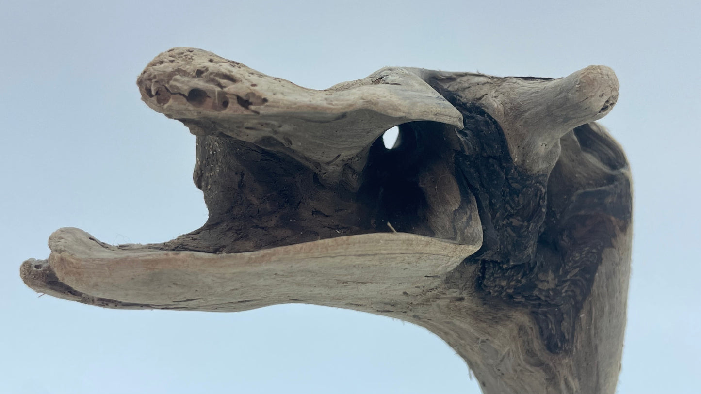 SeanEdma (sculpture) Dead Eyes Opened (4032x2268) banner back